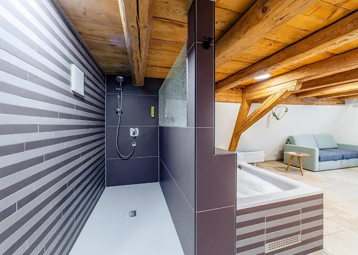 Apartmán Wellness 